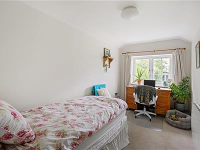 Picture 12